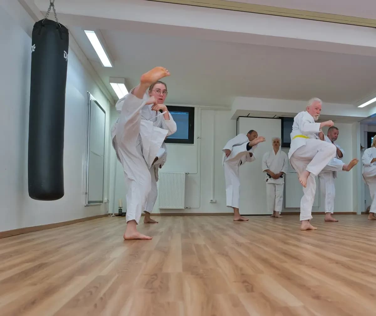 Wado-Ryu Karate